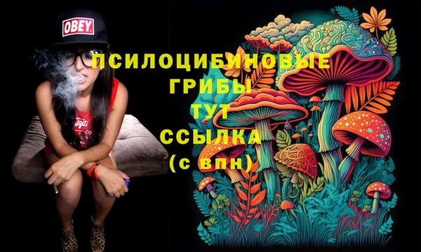 соль ск Вуктыл