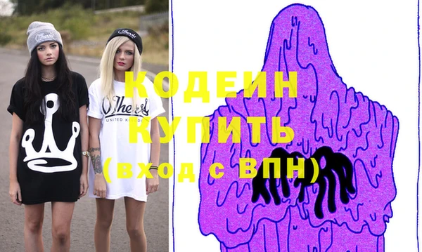 мдпв Весьегонск