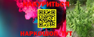 индика Будённовск