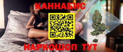 индика Будённовск