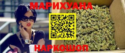 крисы Канаш