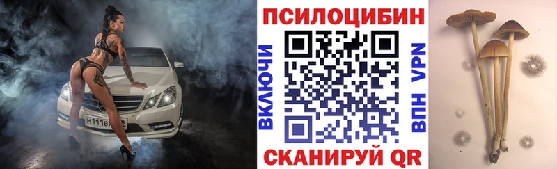 где купить наркоту Ртищево Галлюциногенные грибы мицелий