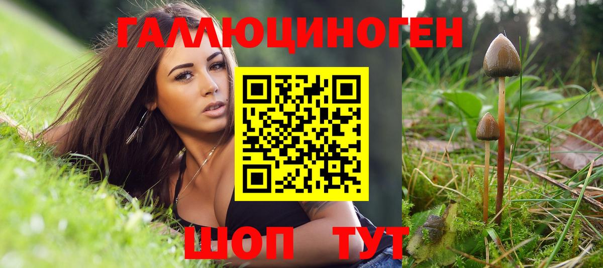Псилоцибиновые грибы Psilocybine cubensis Ртищево