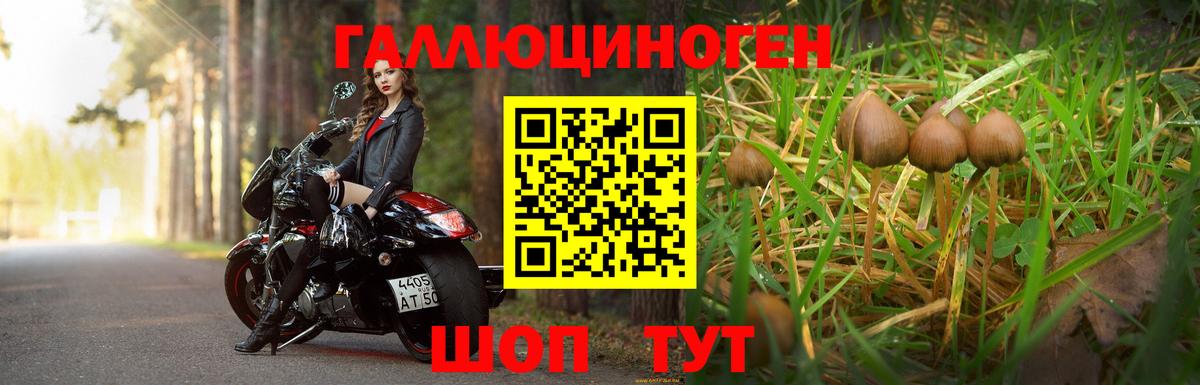 Галлюциногенные грибы Cubensis  Ртищево 